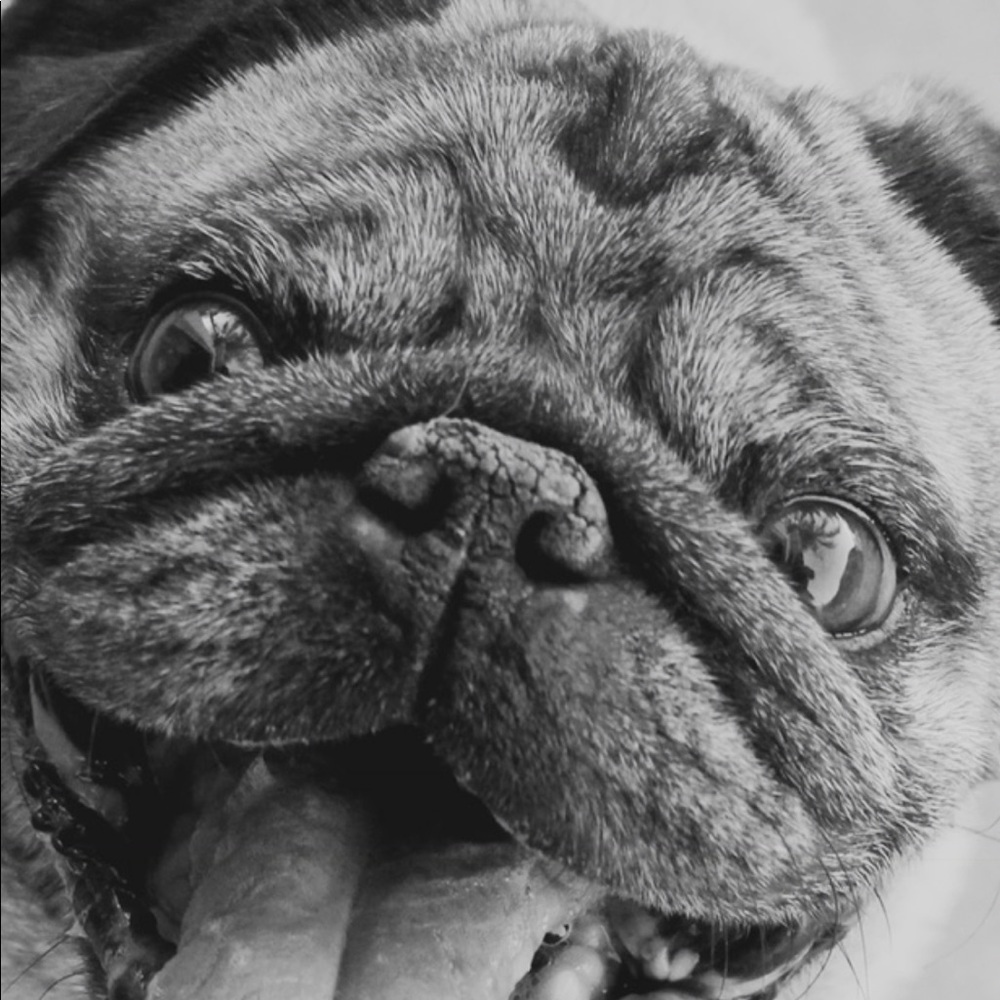 Meet your Posher, Rene